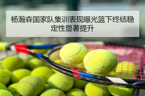 杨瀚森国家队集训表现曝光篮下终结稳定性显著提升