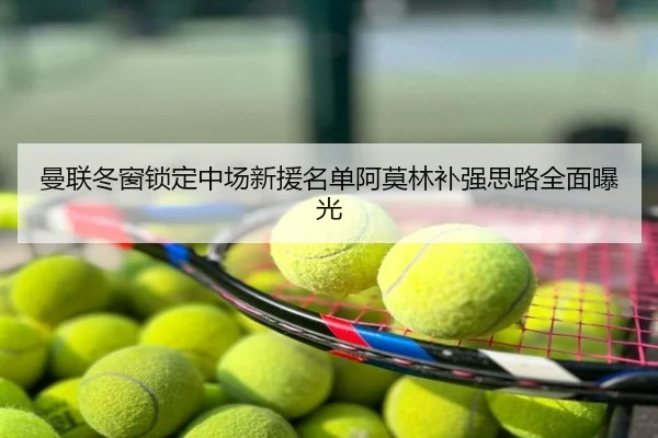 曼联冬窗锁定中场新援名单阿莫林补强思路全面曝光